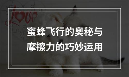 蜜蜂飞行的奥秘与摩擦力的巧妙运用