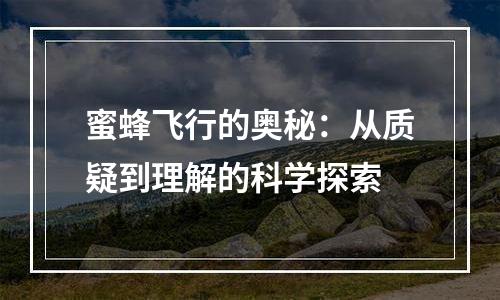 蜜蜂飞行的奥秘：从质疑到理解的科学探索