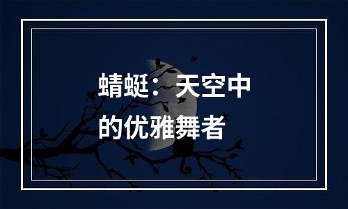 蜻蜓：天空中的优雅舞者