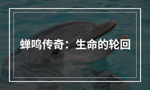 蝉鸣传奇：生命的轮回