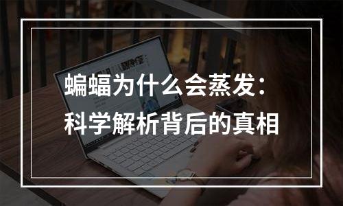 蝙蝠为什么会蒸发：科学解析背后的真相