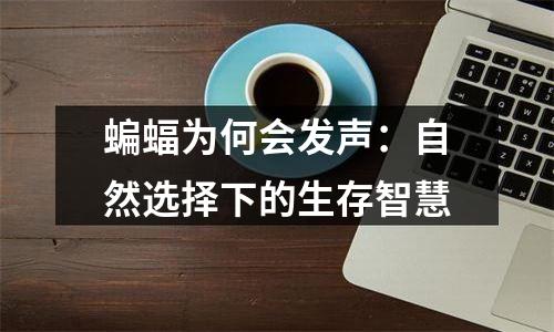 蝙蝠为何会发声：自然选择下的生存智慧