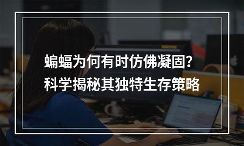 蝙蝠为何有时仿佛凝固？科学揭秘其独特生存策略