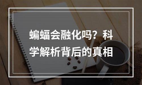 蝙蝠会融化吗？科学解析背后的真相