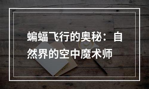 蝙蝠飞行的奥秘：自然界的空中魔术师