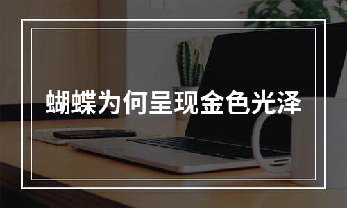 蝴蝶为何呈现金色光泽