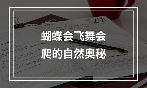 蝴蝶会飞舞会爬的自然奥秘