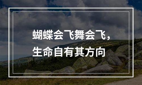 蝴蝶会飞舞会飞，生命自有其方向