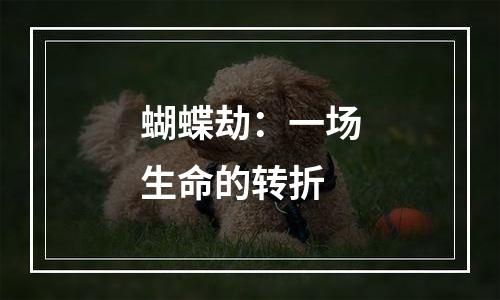 蝴蝶劫：一场生命的转折
