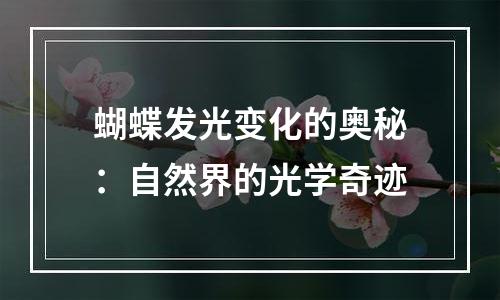 蝴蝶发光变化的奥秘：自然界的光学奇迹
