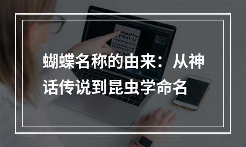 蝴蝶名称的由来：从神话传说到昆虫学命名