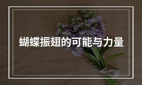 蝴蝶振翅的可能与力量