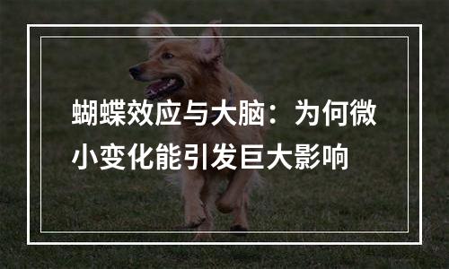 蝴蝶效应与大脑：为何微小变化能引发巨大影响