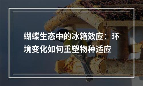 蝴蝶生态中的冰箱效应：环境变化如何重塑物种适应