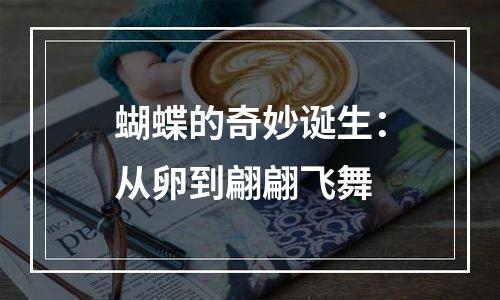 蝴蝶的奇妙诞生：从卵到翩翩飞舞