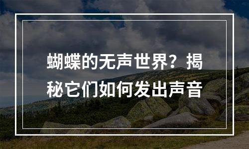 蝴蝶的无声世界？揭秘它们如何发出声音