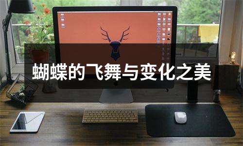 蝴蝶的飞舞与变化之美