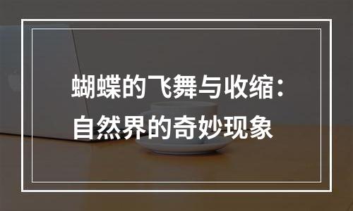 蝴蝶的飞舞与收缩：自然界的奇妙现象
