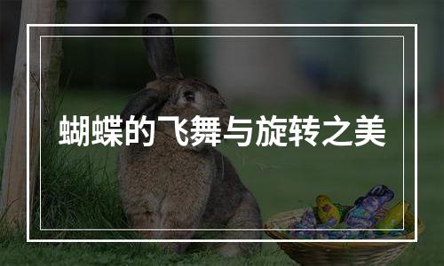 蝴蝶的飞舞与旋转之美