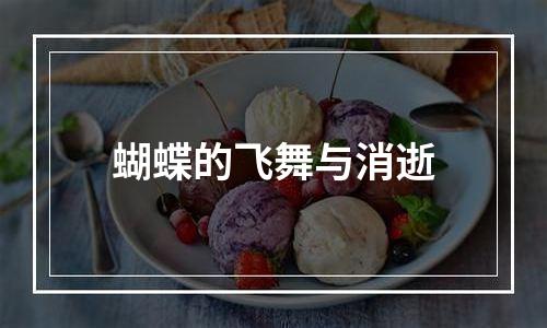 蝴蝶的飞舞与消逝