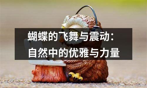 蝴蝶的飞舞与震动：自然中的优雅与力量