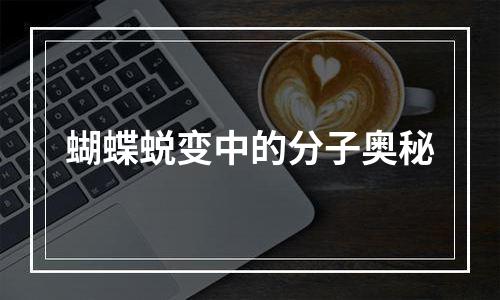 蝴蝶蜕变中的分子奥秘