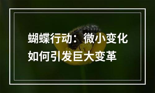 蝴蝶行动：微小变化如何引发巨大变革