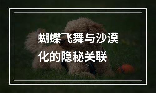 蝴蝶飞舞与沙漠化的隐秘关联