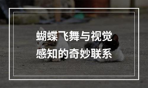 蝴蝶飞舞与视觉感知的奇妙联系