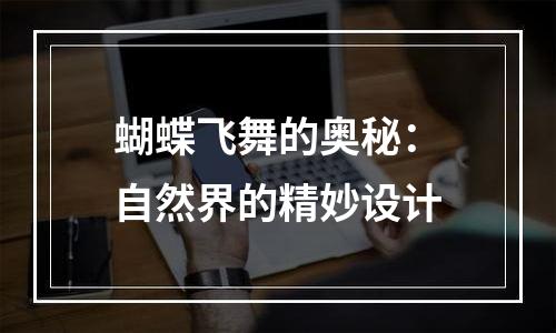 蝴蝶飞舞的奥秘：自然界的精妙设计