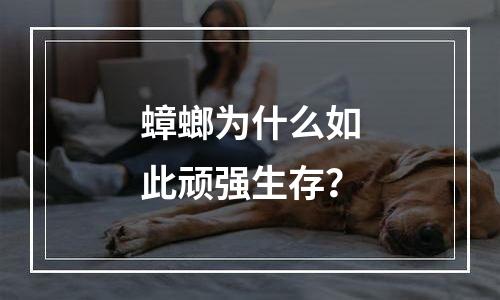 蟑螂为什么如此顽强生存？