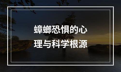 蟑螂恐惧的心理与科学根源
