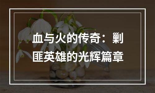 血与火的传奇：剿匪英雄的光辉篇章