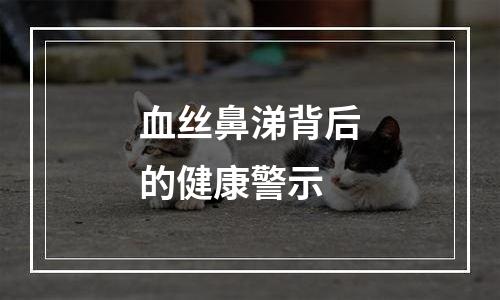 血丝鼻涕背后的健康警示