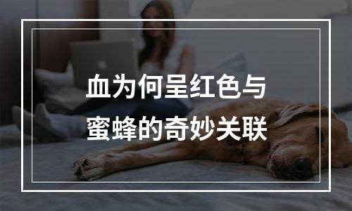 血为何呈红色与蜜蜂的奇妙关联
