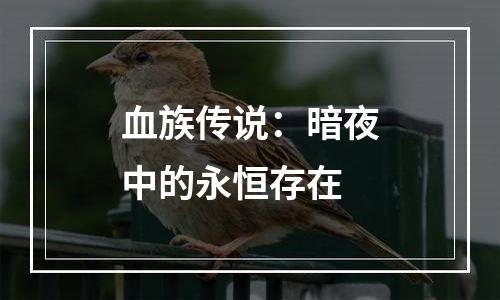 血族传说：暗夜中的永恒存在