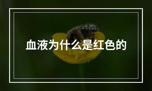 血液为什么是红色的