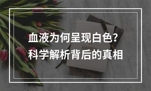 血液为何呈现白色？科学解析背后的真相