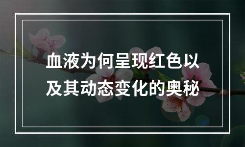血液为何呈现红色以及其动态变化的奥秘