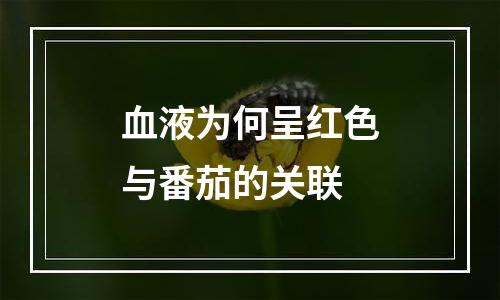 血液为何呈红色与番茄的关联