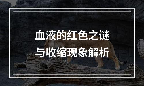 血液的红色之谜与收缩现象解析