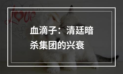 血滴子：清廷暗杀集团的兴衰
