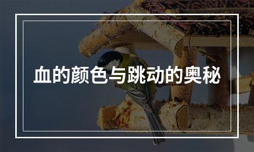 血的颜色与跳动的奥秘
