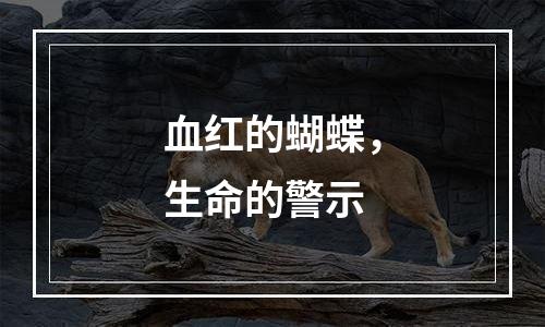 血红的蝴蝶，生命的警示