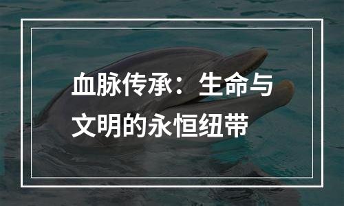 血脉传承：生命与文明的永恒纽带
