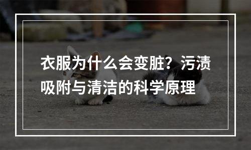 衣服为什么会变脏？污渍吸附与清洁的科学原理