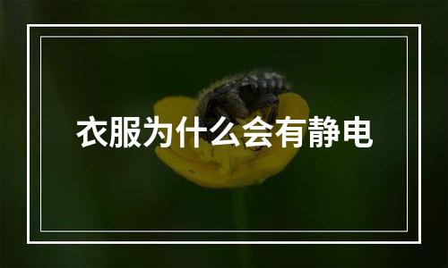 衣服为什么会有静电