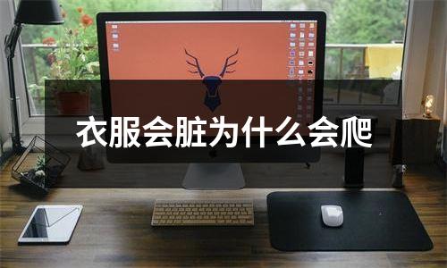 衣服会脏为什么会爬