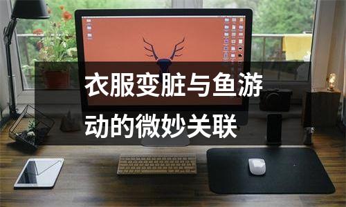 衣服变脏与鱼游动的微妙关联