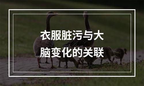 衣服脏污与大脑变化的关联